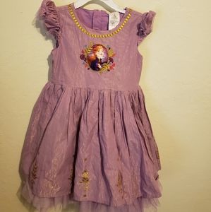 Disney Frizen Anna dress